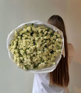 101 bush roses 28000 руб 290$