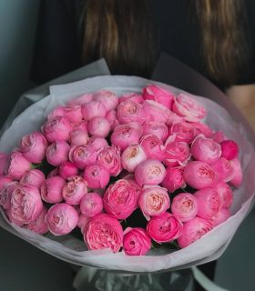 43 peony bush roses Silva 17000 руб 180$