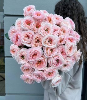 45 PEONY ROSES 19000 руб 200$
