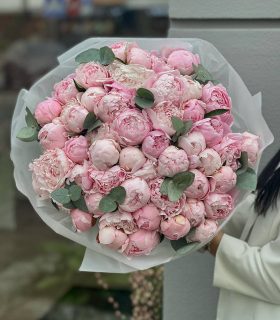 51 peonies 25000 264$
