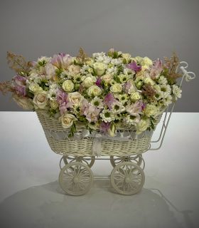 Flower Travel 120$ 12000