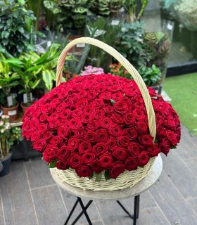 Premium basket 151 red Roses 34200 360$