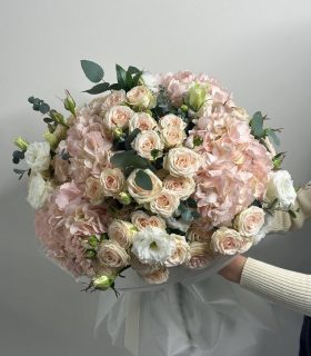 powdery harmony 190$ 19000