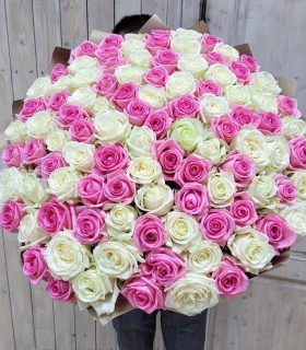 premium 101 dutch roses bouquet 31000 330$