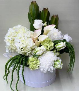 white comfort 89$ 9000
